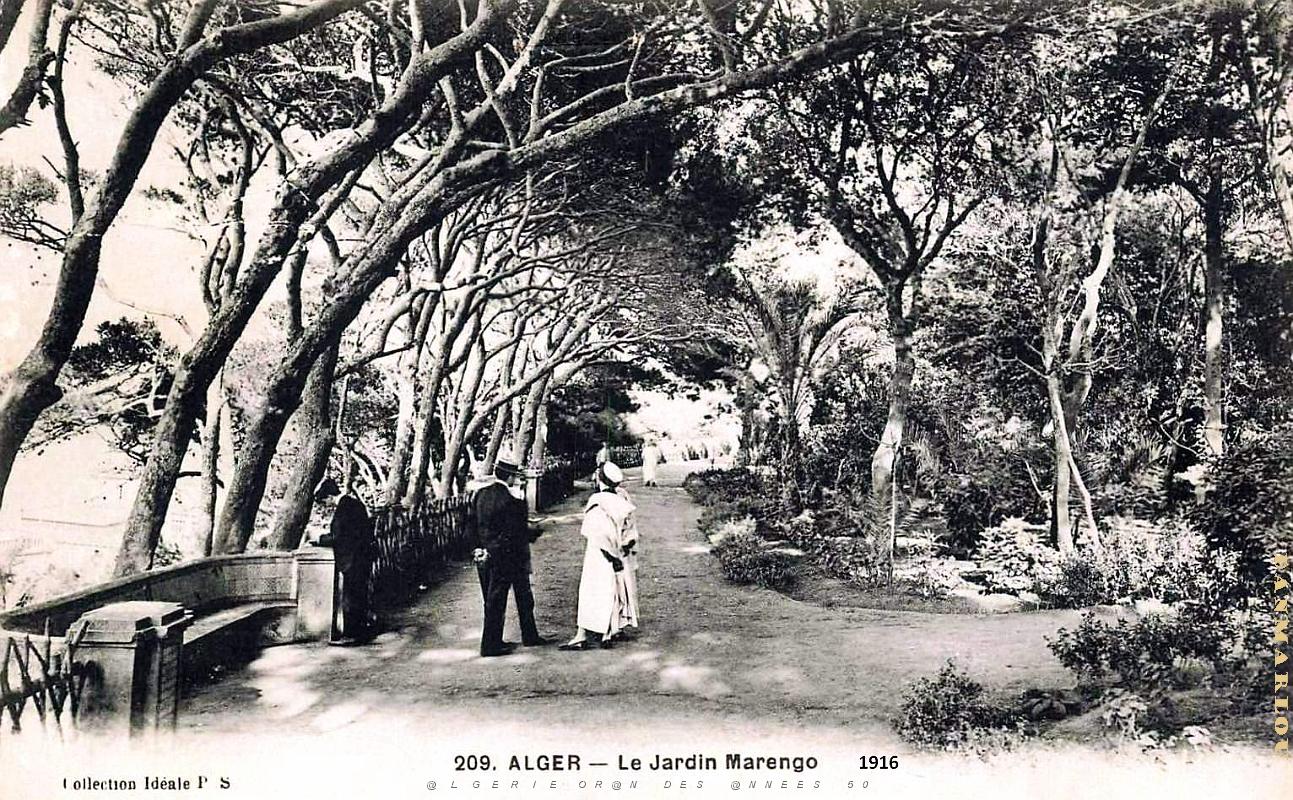 Alger - Jardin Marengo - 1916.jpg